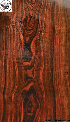 چوب زیبا , انواع چوب , بهترین چوب چیست
