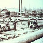 تاریخچه صنعت چوب