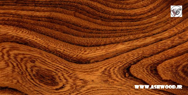 کارشناسی و شناخت چوب در ساخت سازه های متفاوت در نجاری و درودگری 