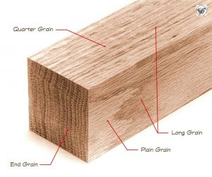 کارشناسی و شناخت چوب در ساخت سازه های متفاوت در نجاری و درودگری