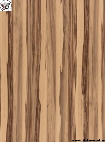 مشخصات انواع چوب زیبا, قیمت انواع چوب , ایده عکس انواع چوب , شناخت انواع چوب شگفت انگیز , چوب راش, چوب روسی