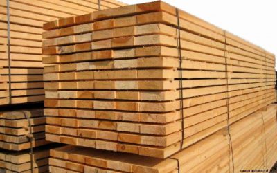 ضوابط صادرات چوب اعلام شد