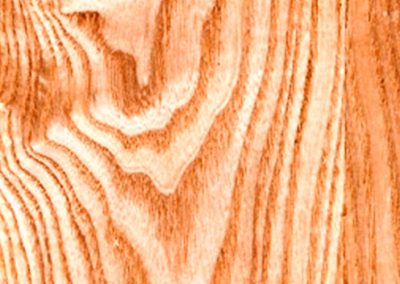 چوب بلوط امریکایی