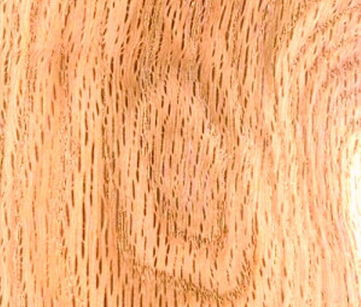 چوب بلوط امریکایی
