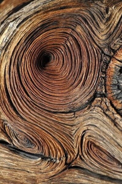 احساس لمس چوب, چوب و سلامتی