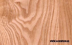 درب چوب ملچ یا زبان گنجشک , Veneer of Common Ash Wood