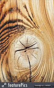 سه نوع اصلی چوب چیست؟ چوب نرم, چوب سخت , چوب مهندسی