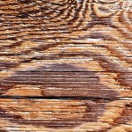 انواع چوب و روکش چوب طبیعی در دکوراسیون چوبی