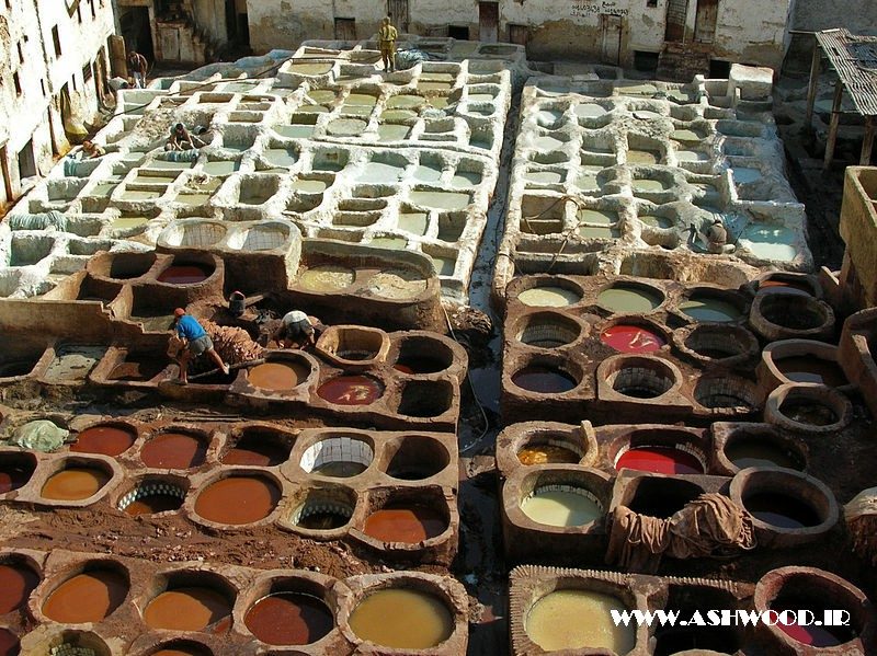 برنزه کردن چرم در فس ، مراکش