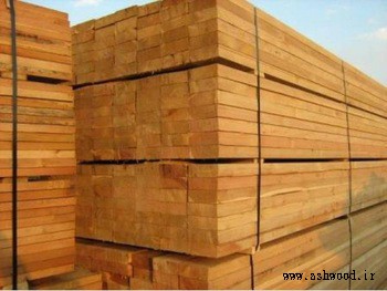 انواع تخته کاج روسی 6 متری , ابعاد و مشخصات فنی انواع چوب