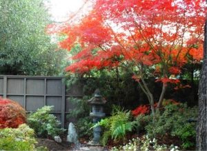 تزئین باغچه به سبک ژاپنی