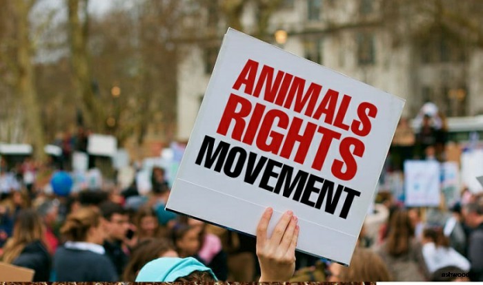 حقوق حیوانات در ایران
