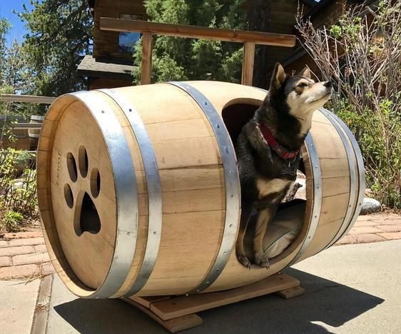 خانه سگ ساخته شده از بشکه چوبی