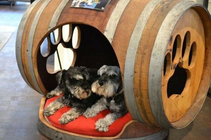 خانه سگ ساخته شده از بشکه چوبی