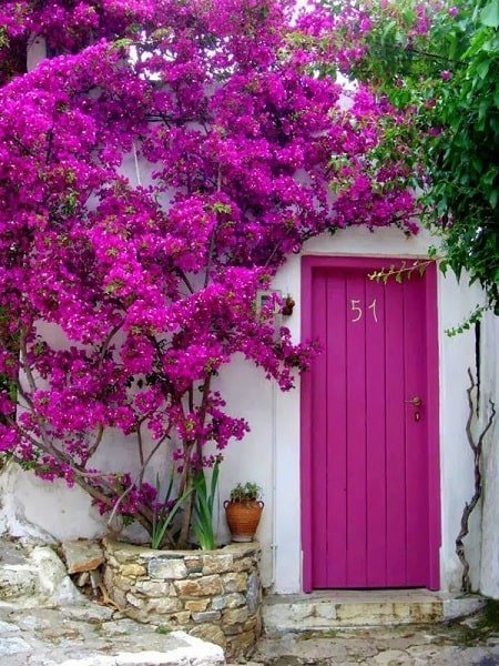 درب های چوبی رنگی زیبا