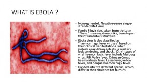 درباره بیماری ابولا ، ویروس ابولا آ ابولا چیست