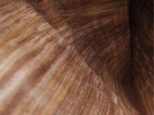 جالب و دیدنی روکش چوب درخت موز در دکوراسیون داخلی