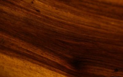 10 نوع مختلف چوب ساج