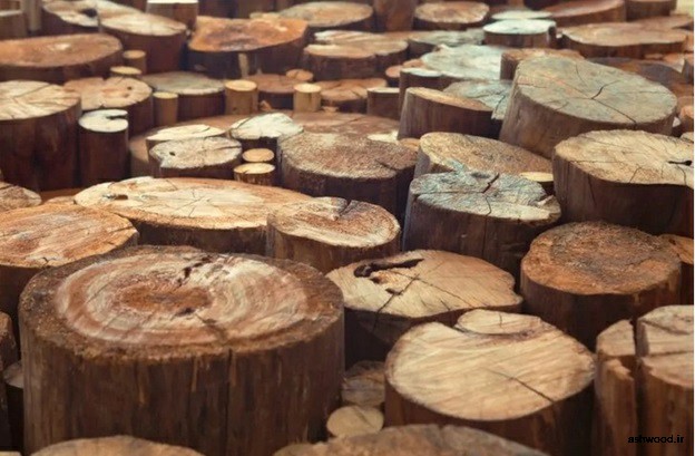 انواع چوب ساج