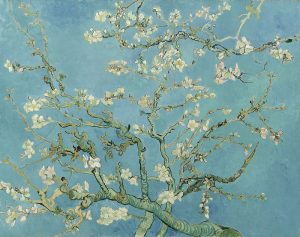 شکوفه‌های بادام، ۱۸۹۰ موزه ون گوگ