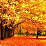 عکس های پاییز ، عکس های پاییزی زیبا ، مناسبتهای فصل پاییز ، عکس های پاییزی عاشقانه