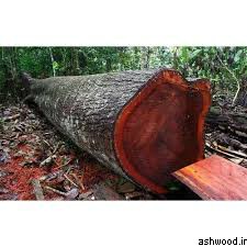 چوب ماهگونی