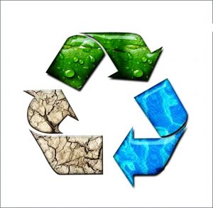 بازیافت پسماند راهی برای نجات محیط زیست و جنگل 