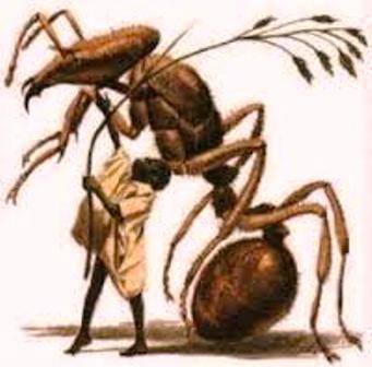 مورچهسوار (1)
