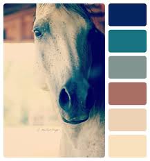 پالت رنگ اسب خاکستری
