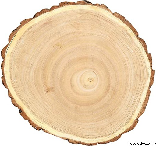 چوب درخت پالونیا , معرفی انواع درخت و چوب 