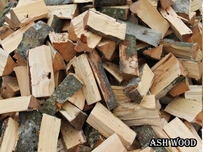 همه چیز درباره چوب راش