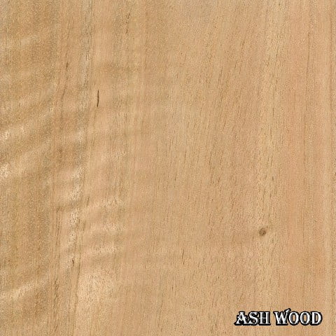 چوب درخت صمغ آبی یا آدامس آبی