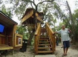 عکس کلبه چوبی درختی , در دل جنگل و طبیعت یک خانه درختی را اجاره کنید