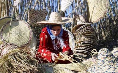 اداره کل میراث فرهنگی، صنایع دستی و گردشگری استان گیلان